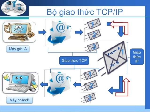 Sự phát triển và hình thành của mô hình tcp ip là gì