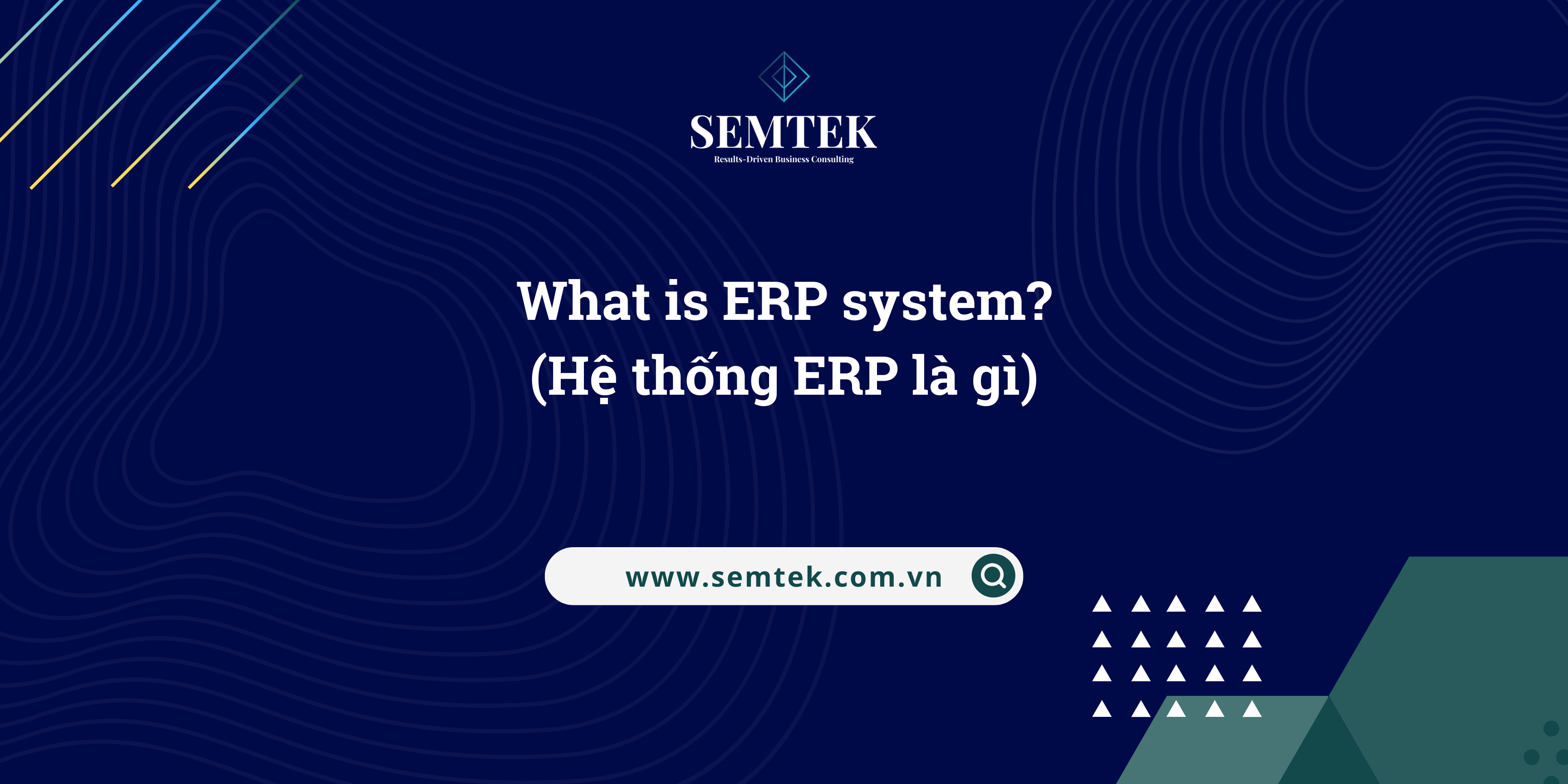 hệ thống erp