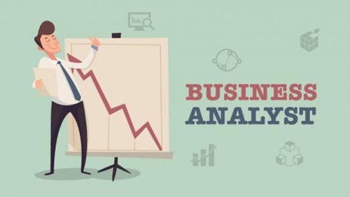 business analyst