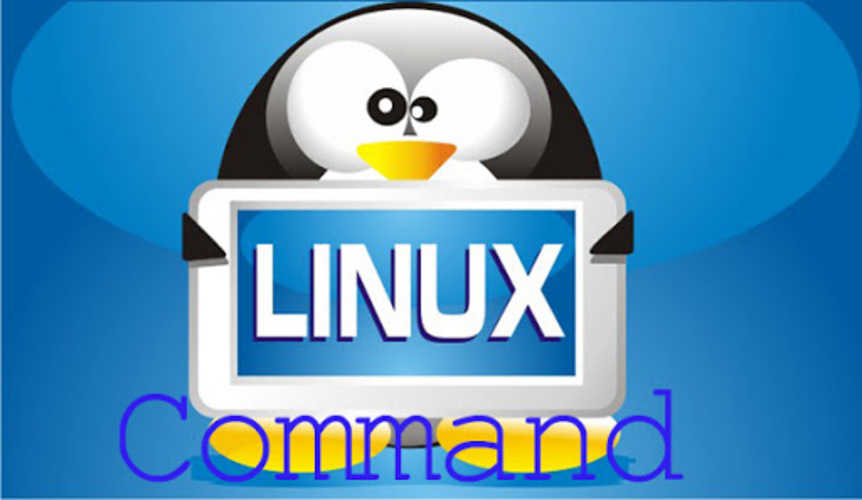 cấu hình máy chủ VPS Linux