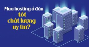 Nên mua hosting ở đâu uy tín nhất hiện nay? - SEMTEK Co,. TLD 4 nên mua hosting ở đâu uy tín