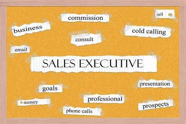 sales executive là gì