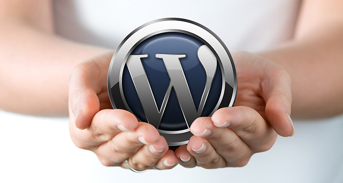 wordpress vietnam