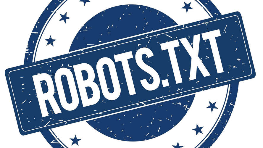 file robots.txt wordpress