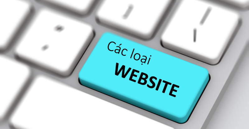 các loại Website