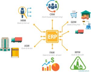 hệ thống erp
