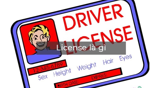 License Key Power Designer 16.5