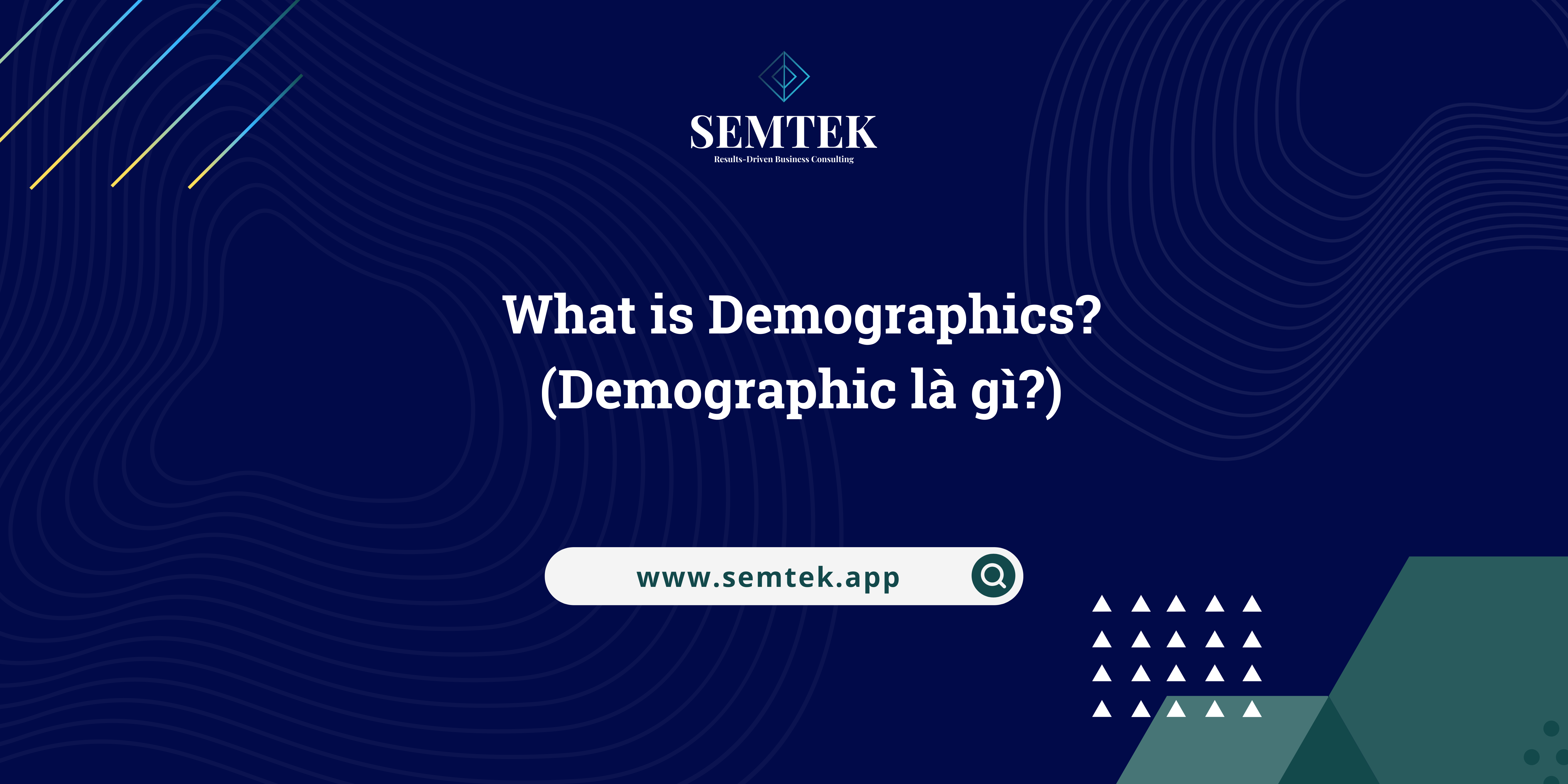 demographic là gì