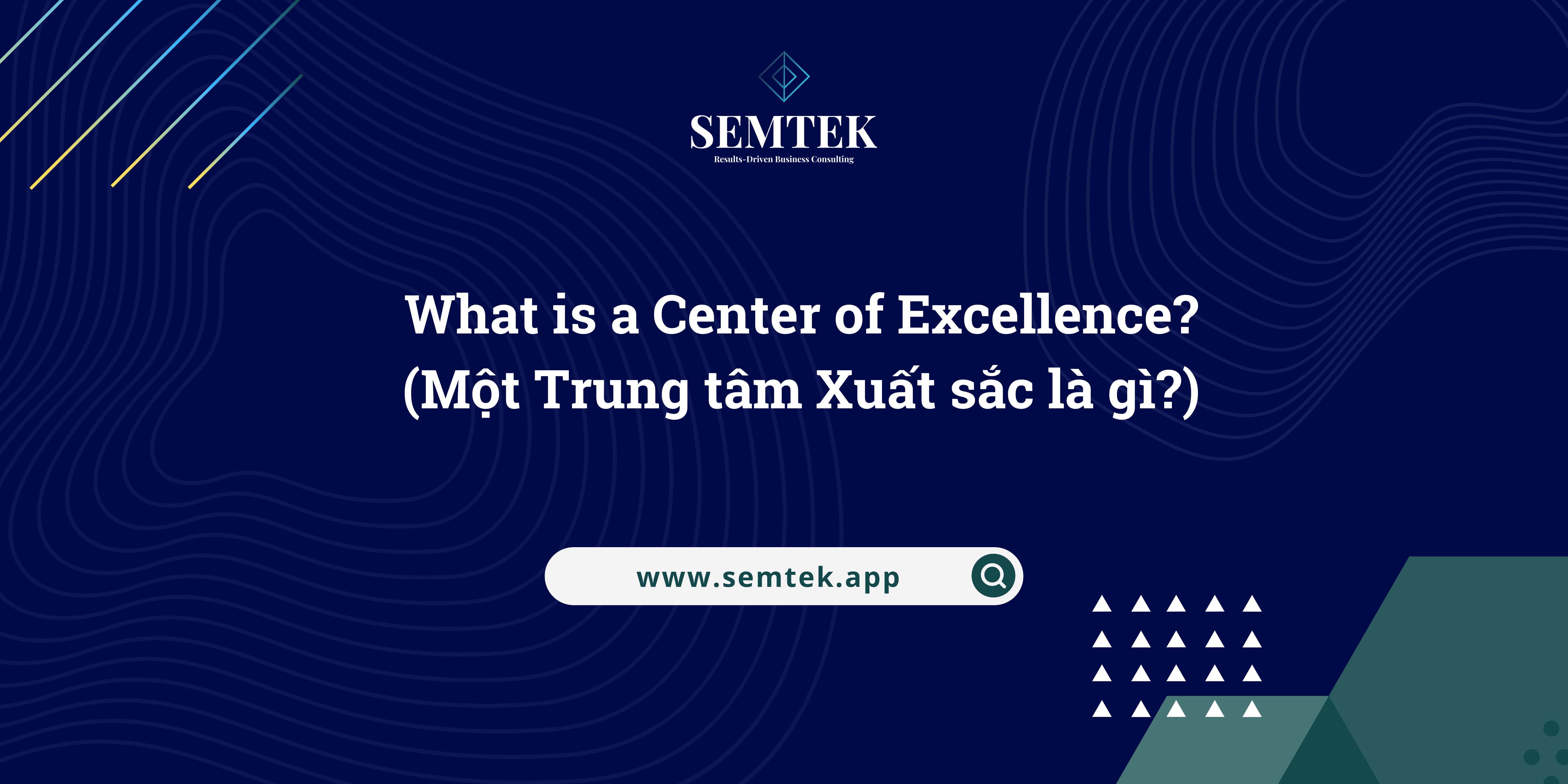 trung tâm nghiên cứu xuất sắc (Center of Excellence - COE)