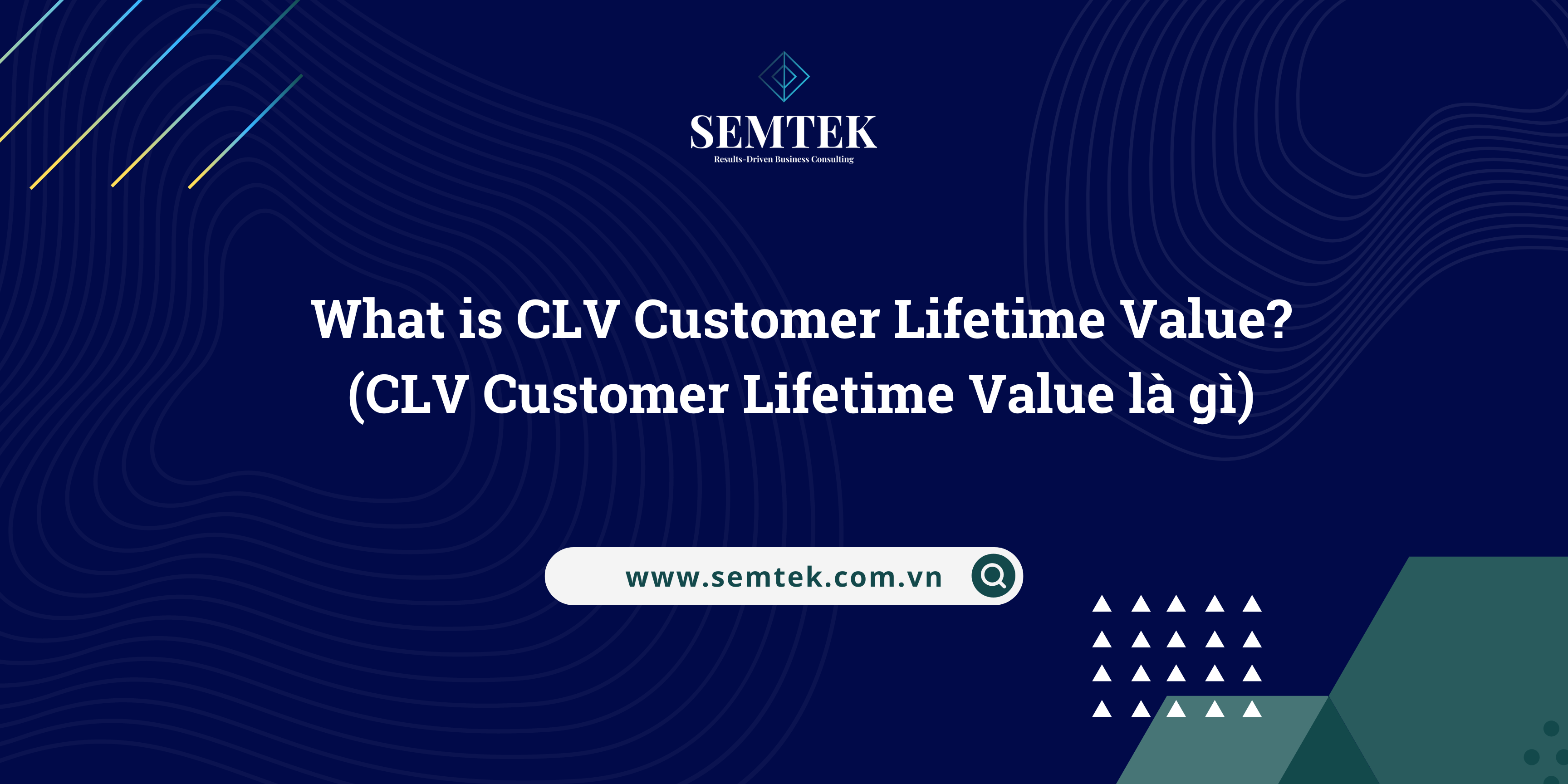 clv customer lifetime value