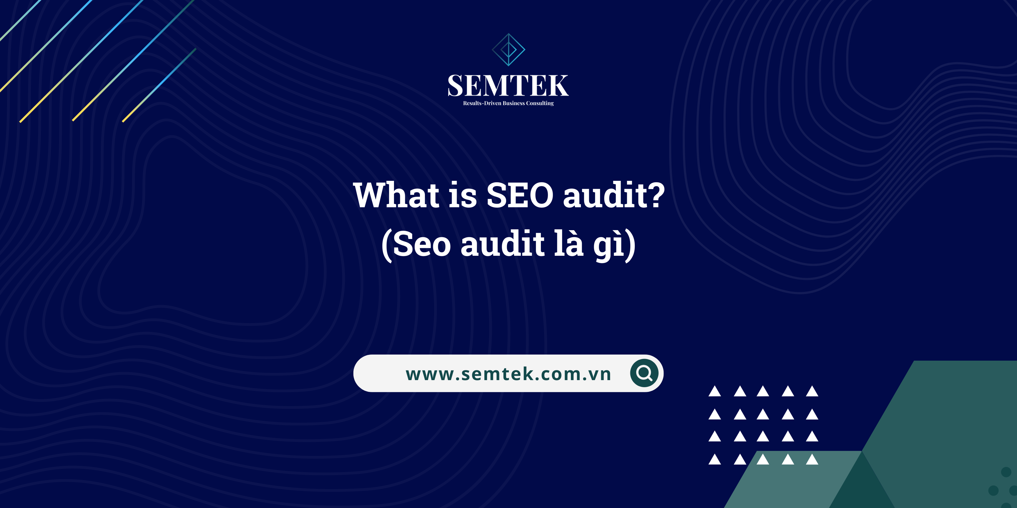 seo audit