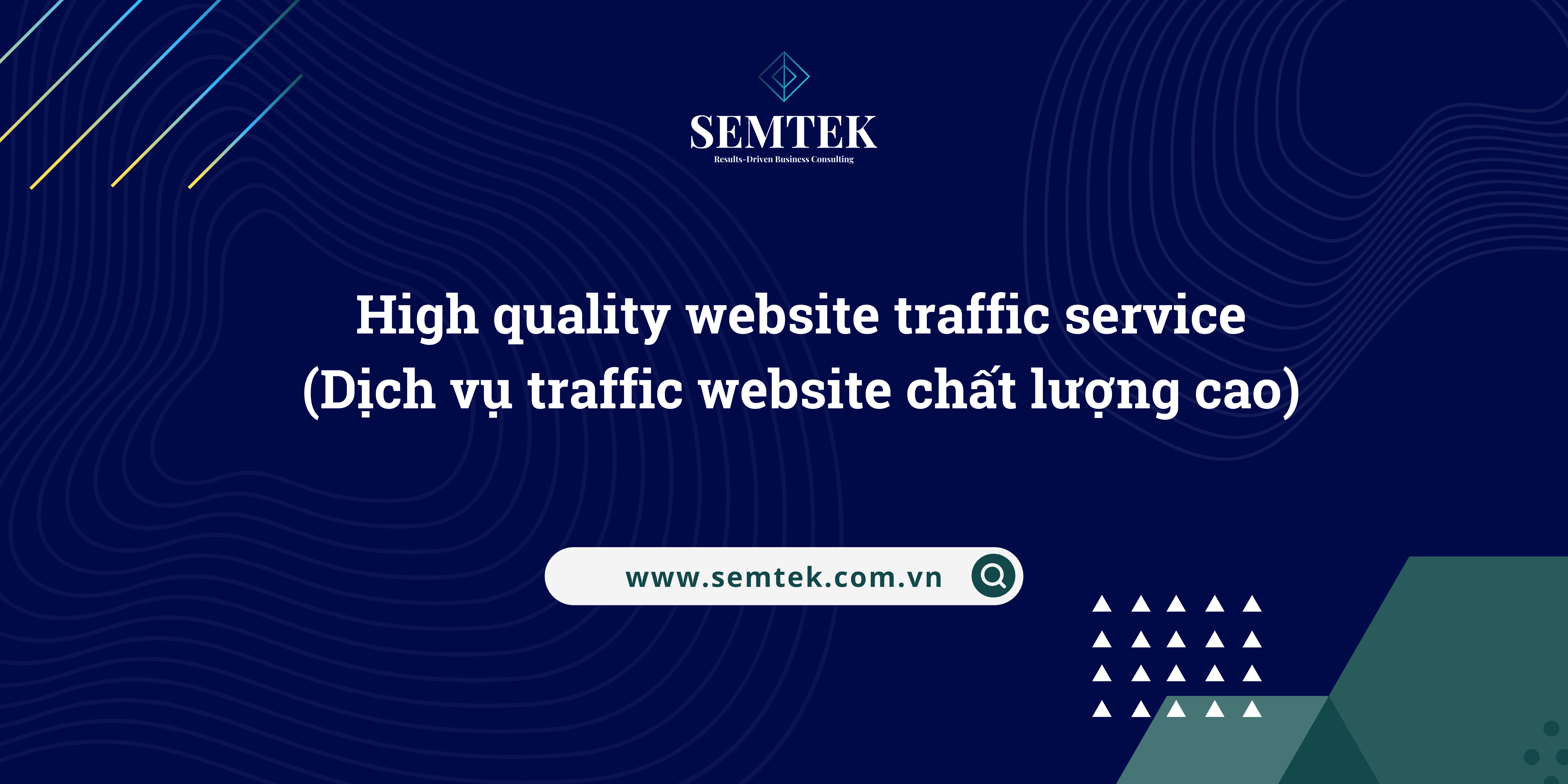 dich vu traffic website